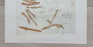 Panamarenko - De kip (Archae Opterix) kaufen? Bieten Sie von 950!