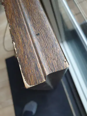 Sjef van Schaijk - portret van dame kopen? Bied vanaf 500!