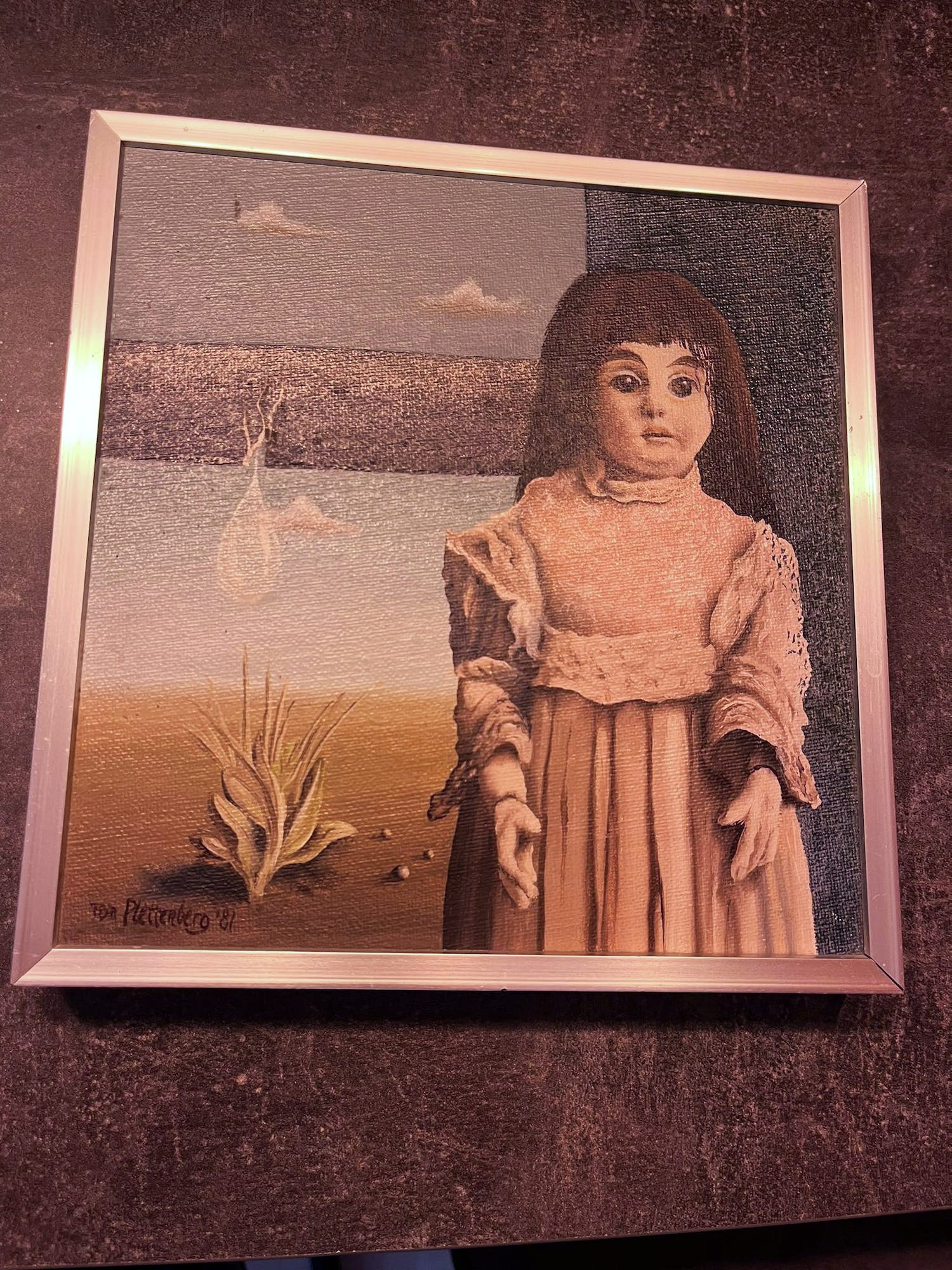 Ton Plettenberg - Het kleine wonder verkocht voor € 150!