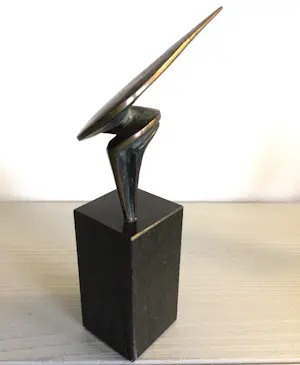 Ruurd Hallema - “ TROTS “ kopen? Bied vanaf 149!