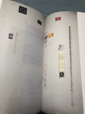 Pietsjanke Fokkema - Utwrydsk kopen? Bied vanaf 25!