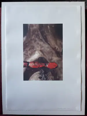 Peer Veneman - Foto, Zonder titel kopen? Bied vanaf 30!