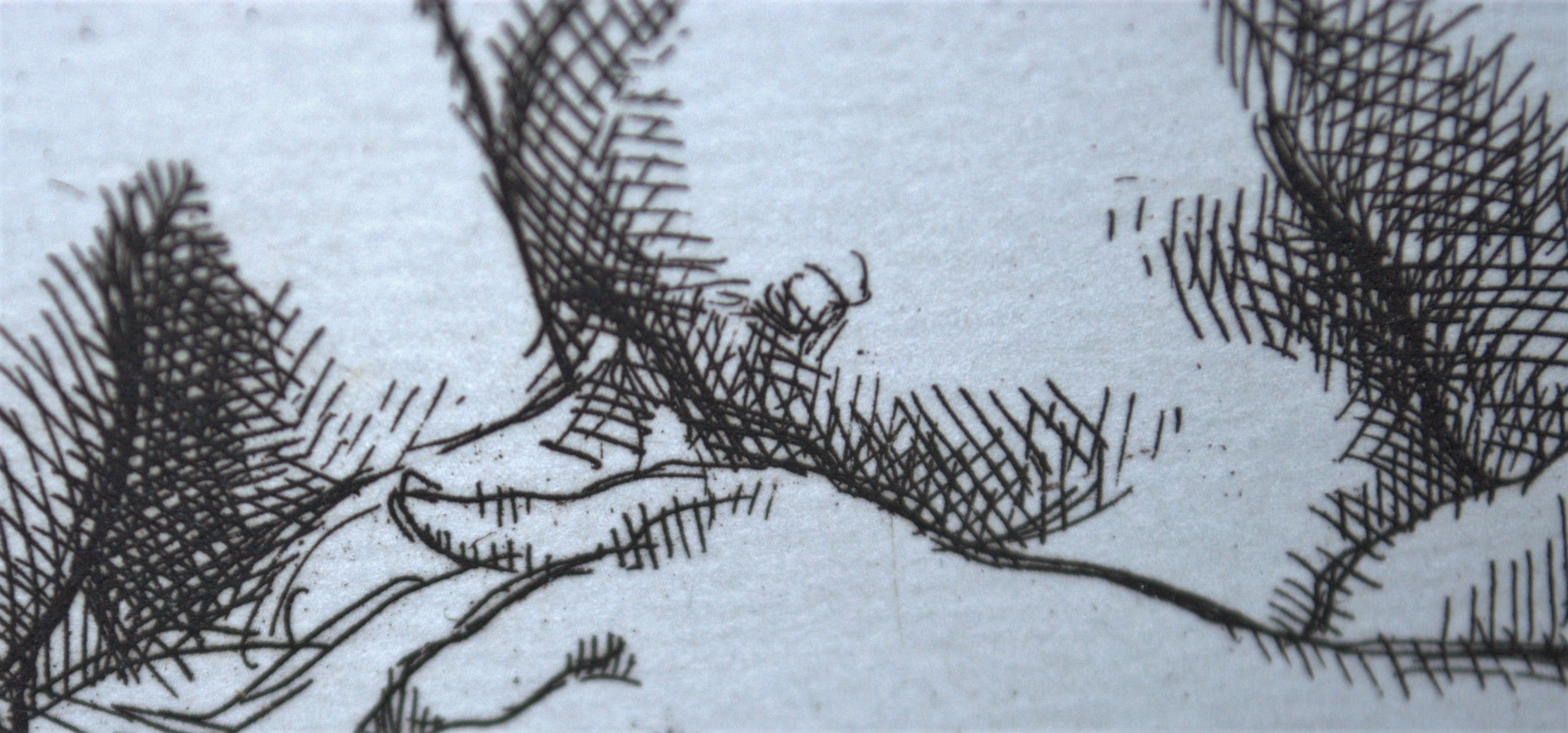 Niet of onleesbaar gesigneerd - _ de 3 gratieën _ gesigneerde ets  kopen? Bied vanaf 1!