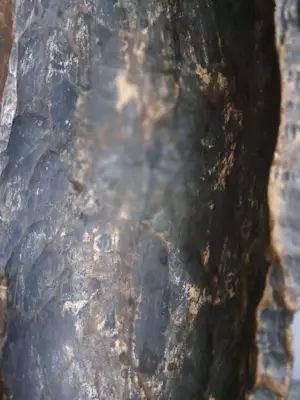 Akan - "Metal Face" kopen? Bied vanaf 45!