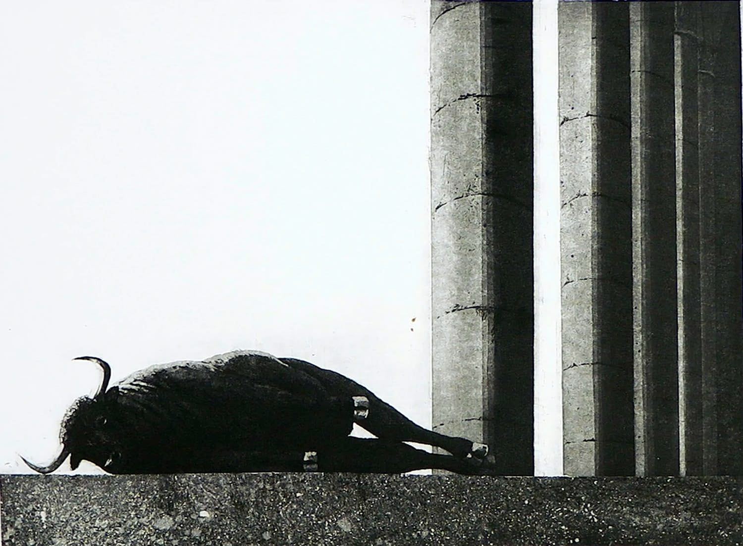 Rene Polak - Ets en aquatint, Zonder titel kopen? Bied vanaf 1!