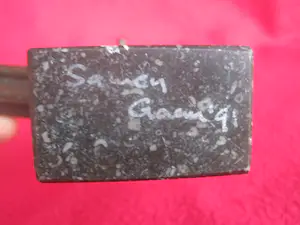 Hans van Eerd - Samen-Gaan. kopen? Bied vanaf 75!