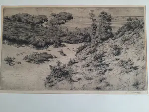 Hendrik Henrichs - Ets, landschap. kopen? Bied vanaf 20!