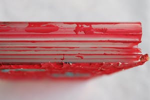 Fred Michiels - Zoo animals have been known to die from stares (3 flamingo's) kopen? Bied vanaf 150!