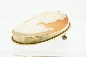 29- Grote antieke ovaalvormige 14 Krt gouden Victoriaanse Camee speld / broche kopen? Bied vanaf 90!