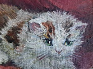 Niet of onleesbaar gesigneerd - C.Raaphorst (toegesr.aan) kopen? Bied vanaf 1!