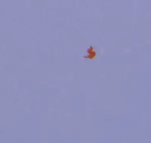 Marco Kooiman - Zeefdruk, Gallipoli - Ingelijst kopen? Bied vanaf 80!