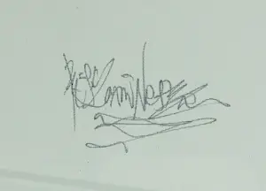 Paresh Nrshinga - Acryl op doek, Heaven kopen? Bied vanaf 100!