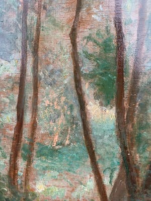 Xavier De Cock - Boszicht / Sous-bois kopen? Bied vanaf 69!