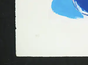 Jan Cremer - Zeefdruk, Tullips kopen? Bied vanaf 150!