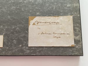 Erasmus Herman van Dulmen Krumpelman - Boomengroep te Zeegse kopen? Bied vanaf 25!