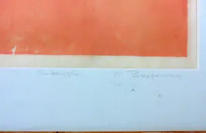 Maurice Braspenning - Litho op papier, Suikerspin - Ingelijst kopen? Bied vanaf 100!