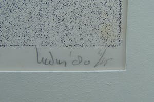 Sjouke Heins - Bij Pieterburen kopen? Bied vanaf 60!