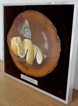 Hans Verhoef - Schildering op natuursteen: vlinder op een citroen kopen? Bied vanaf 295!