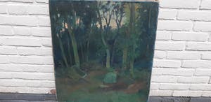 Theo Kurpershoek - bosch kopen? Bied vanaf 200!