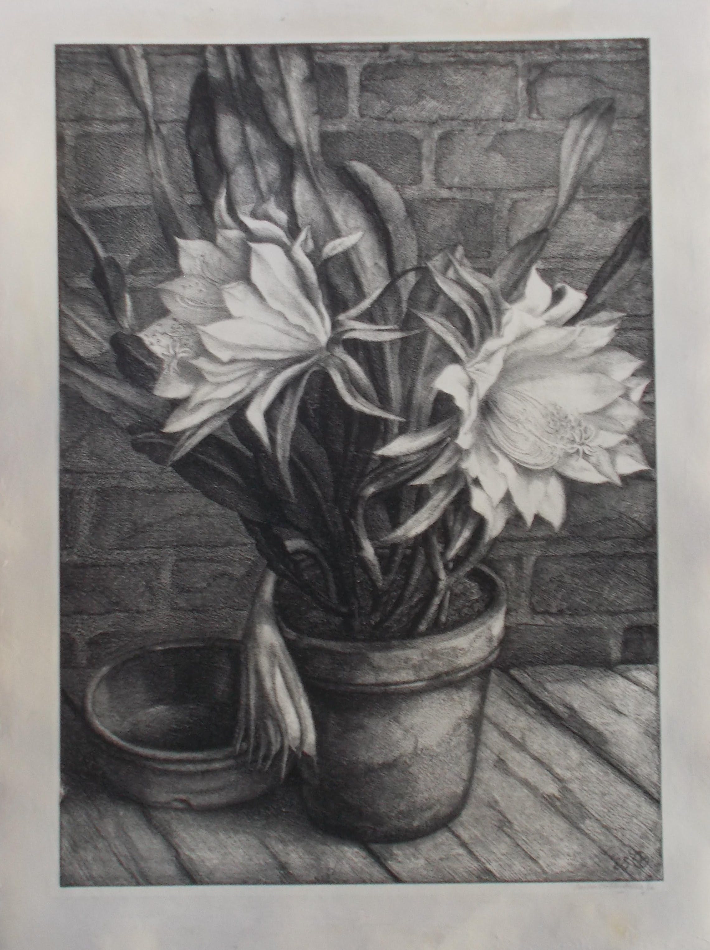 Aart van Dobbenburgh - Stilleven met cactus kopen? Bied vanaf 65!