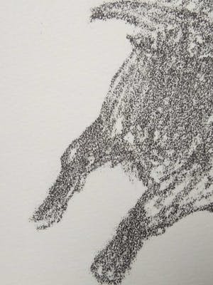 Niet of onleesbaar gesigneerd - Lithografie - Stier. kopen? Bied vanaf 10!