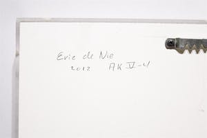 Eric de Nie - Aquarel in plexiglazen behuizing - 2012 kopen? Bied vanaf 195!