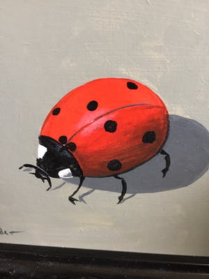 Henk Poeder - Heersbeestje kopen? Bied vanaf 64!