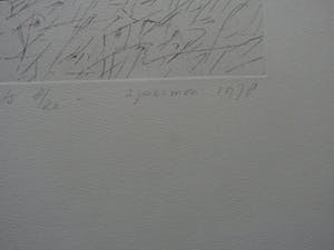 Kees Spermon - ets: moeilijk om voorover te buigen I - 1978 kopen? Bied vanaf 45!