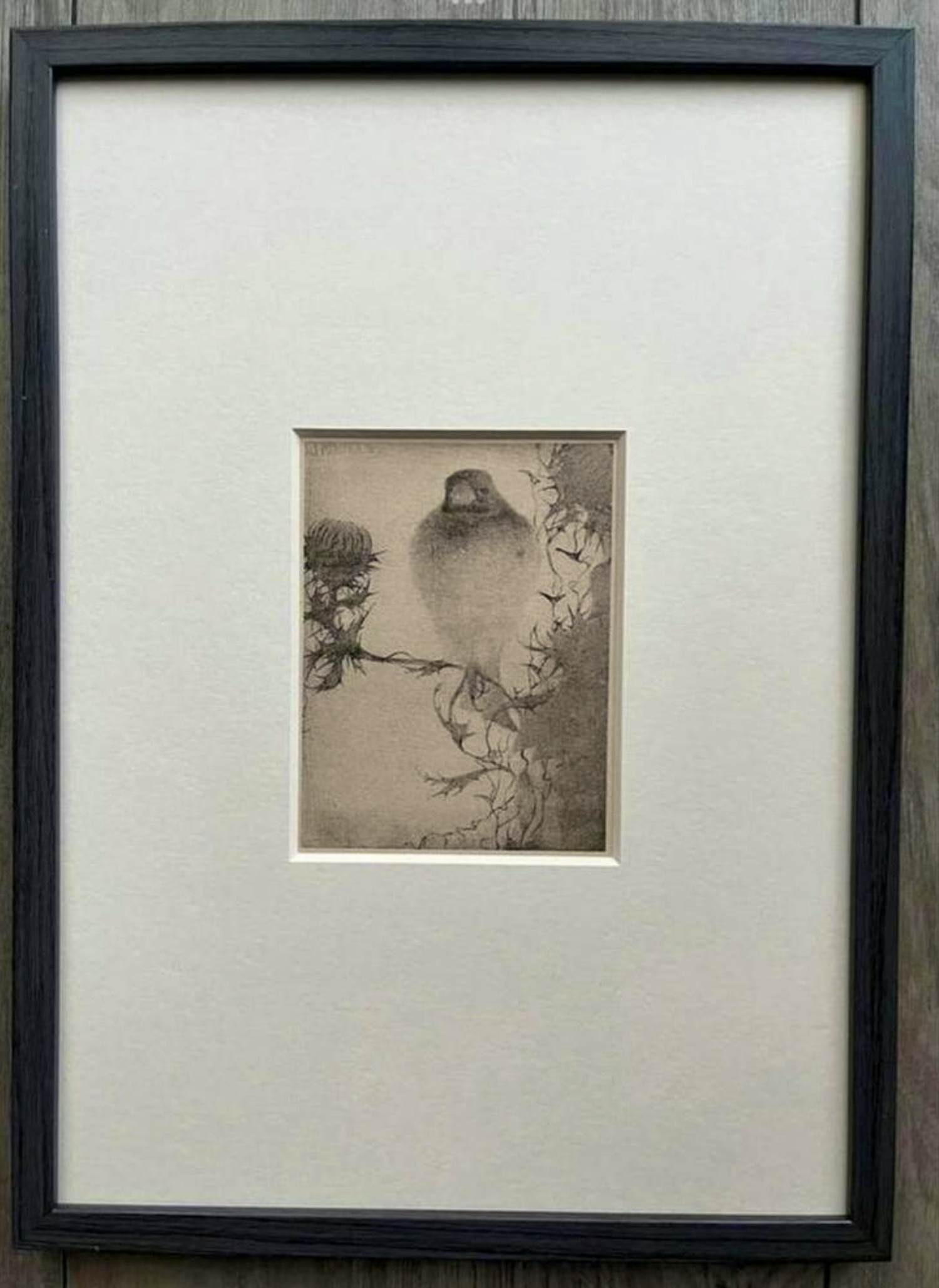 Jan Mankes - Originele Heliogravure Puttertje op Tak 1923 kopen? Bied vanaf 165!