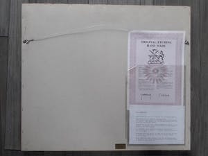 Roger Hebbelinck - Amsterdam "sint Nikolaas". Met echtheidscertificaat. kopen? Bied vanaf 75!