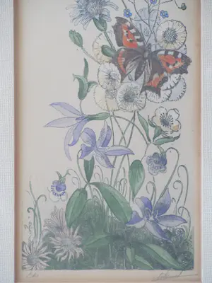 Antoon Hemert - vlinder (kleine vos) tussen de veldbloemen kopen? Bied vanaf 30!