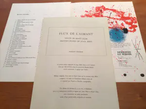 Joan Miro - DLM 151-152 - Jaar 1965 - Uitstekende conditie - Geheel kompleet - Zeldzaam kopen? Bied vanaf 450!