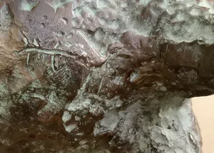 Hetty Heyster - Schaap/lam kopen? Bied vanaf 650!