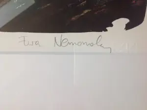 Ewa Nemoudry - Ce n'était pas un jour de fête kopen? Bied vanaf 90!