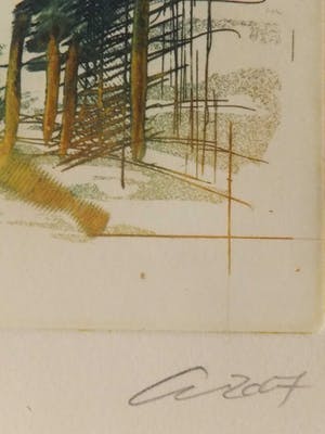 Olivier Beijn - Olivier Beijn (1978-) - kleurets - abstracte tuin kopen? Bied vanaf 19!