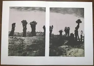 Nicolaas Wijnberg - Petit 2 compleet met gesigneerde litho en boekje Frans de Jong kopen? Bied vanaf 99!