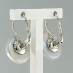 18k witgouden oorhangers bezet met parelmoer - 4.3 gram kopen? Bied vanaf 375!