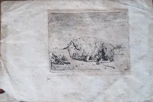 Karel Dujardin - Schaap in weide kopen? Bied vanaf 20!