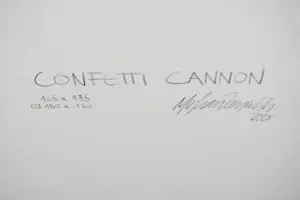 Parscha Mirghawameddin - Confetti Cannon XXL kopen? Bied vanaf 720!