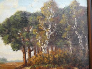 Jaap Nefkens - Heidelandschap kopen? Bied vanaf 75!