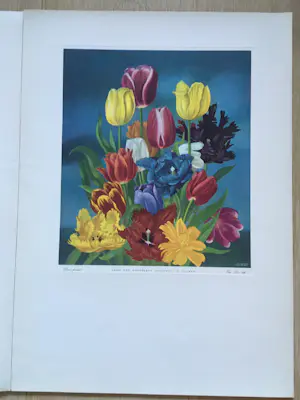 Eppo Doeve - Flower Prints from the Whitbread Calendar 1955 kopen? Bied vanaf 30!