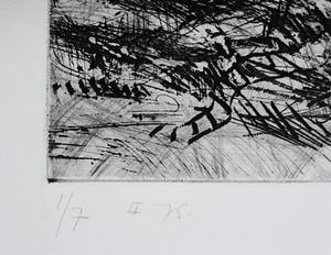 Willem Snitker - Paard in woest landschap, aquatint ets kopen? Bied vanaf 50!