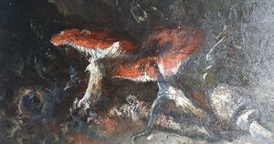 Theo Goedvriend - Theo Goedvriend - Paddestoelen in het bos - kopen? Bied vanaf 250!