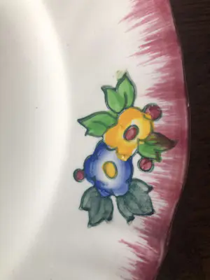 Emaux de Longwy - set van twee puntgave borden LONGWY - Floraal- Décoré à la main kopen? Bied vanaf 35!