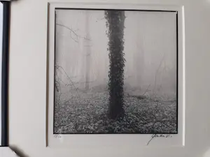 Ralph Janowski - 3 werken, van Ralph Janowski, Boom in de ochtend mist nieuw ingelijst kopen? Bied vanaf 100!