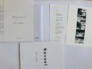 Roger Raveel - Suite van zes zeefdrukken, Felix Vulgaris kopen? Bied vanaf 2845!