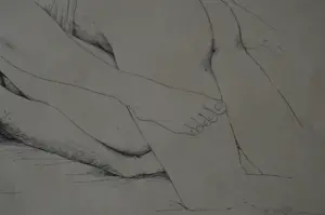 Jan de Haas - 'Naakt' Tekening. kopen? Bied vanaf 75!