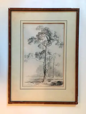 Alexander Joseph Daiwaille - Smalle boom - Lithografie, Ingelijst kopen? Bied vanaf 45!
