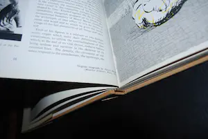 Henry Moore - 7 boeken, waarvan 1x met een kleurenlitho 1972 kopen? Bied vanaf 75!