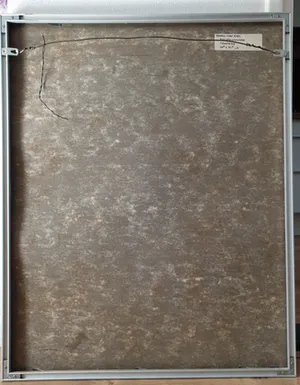 Frans van Riel - Bidsprinkhaan kopen? Bied vanaf 45!